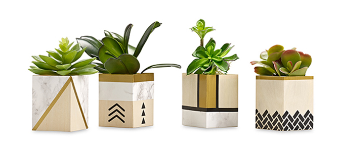 Cut materials up to 3 mm thick